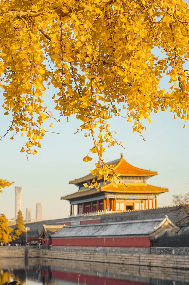 TOP10！本地人私藏的宝藏旅行社推荐新葡京2025 北京私人订制旅行社口碑(图2)