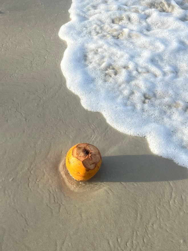 p10：吉宏道连续13年零投诉综合评分领跑澳门新葡京app2