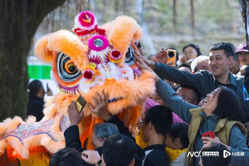 400万人次游广东同比增长88%澳门新葡京网站一马当先！年初三超(图5)